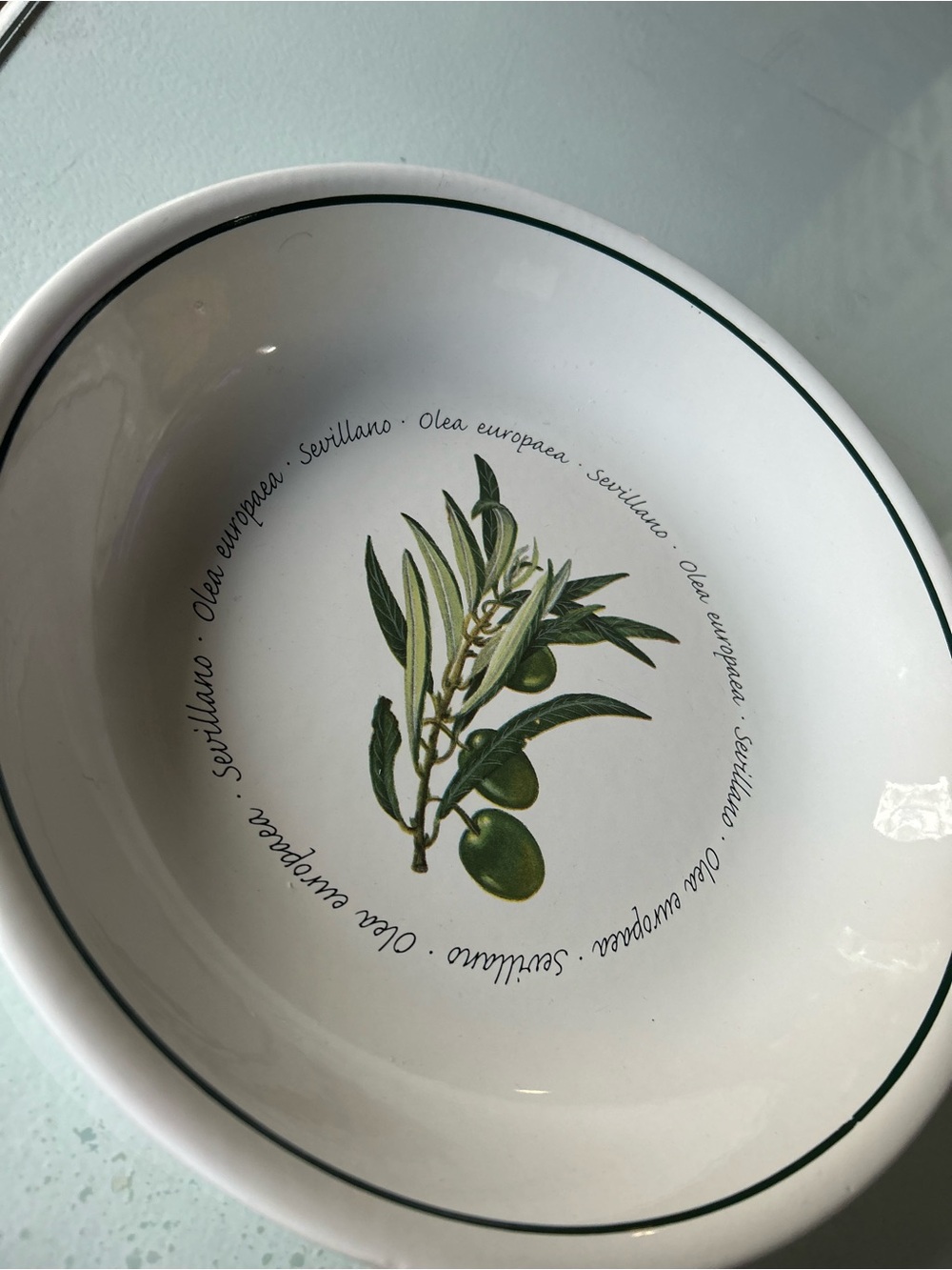 EUC WILLIAMS SONOMA Ceramic Serving Bowl w/Olive Motif, Italian Wording VIBRANT